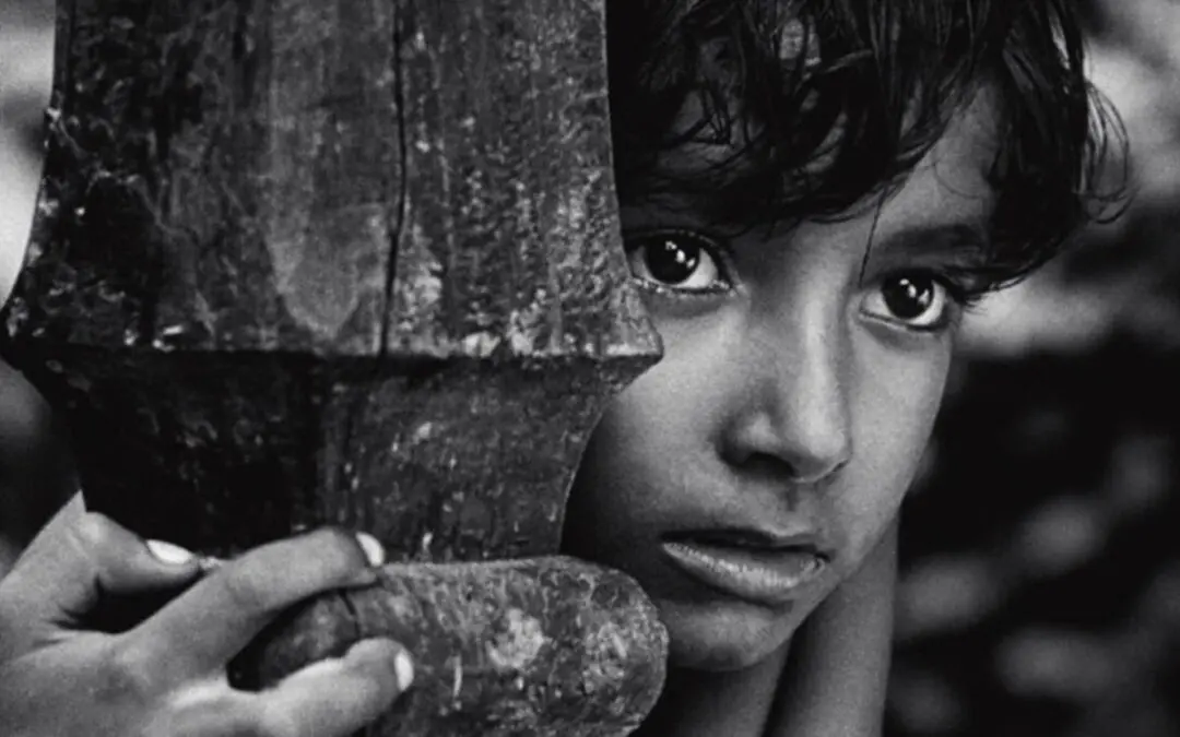 A boy watches an event that he cannot take his eyes off.